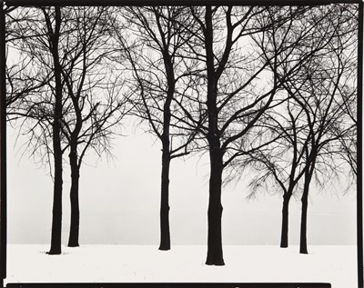 Lot 209 - Harry Callahan (1912-1999)