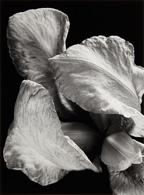 Lot 440 - Pierre-Jean Amar (b.1947)