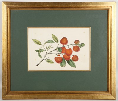 Lot 512 - A set of four Chinese Qing dynasty pith...