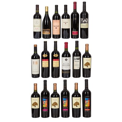 Lot 231 - A selction of Argentinian Wines - 18 bottles