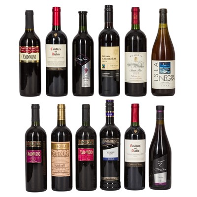 Lot 230 - A selection of Chilean Wine - 12 bottles