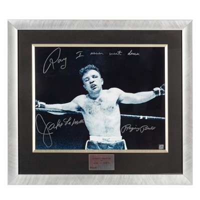 Lot 580 - La Motta (Jake)
