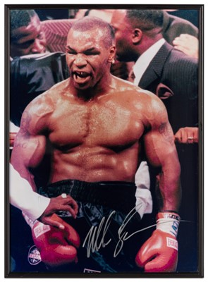Lot 591 - Tyson (Mike)