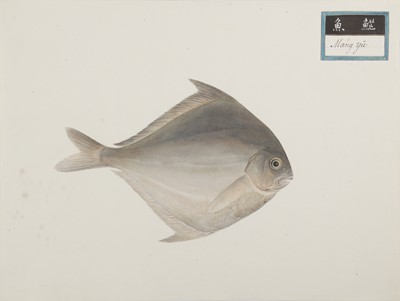 Lot 220 - A rare Chinese album containing fifty watercolour paintings, Qing dynasty, early 19th century