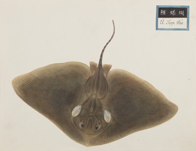 Lot 220 - A rare Chinese album containing fifty watercolour paintings, Qing dynasty, early 19th century