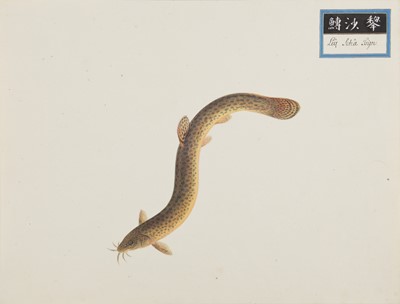 Lot 220 - A rare Chinese album containing fifty watercolour paintings, Qing dynasty, early 19th century