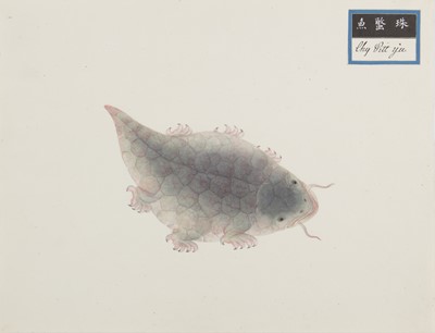 Lot 220 - A rare Chinese album containing fifty watercolour paintings, Qing dynasty, early 19th century