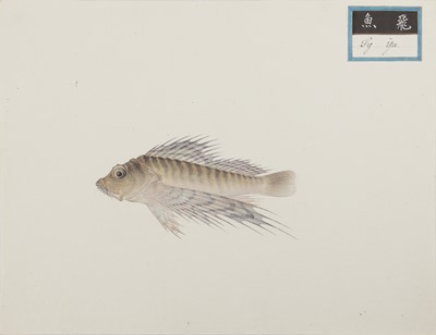 Lot 220 - A rare Chinese album containing fifty watercolour paintings, Qing dynasty, early 19th century