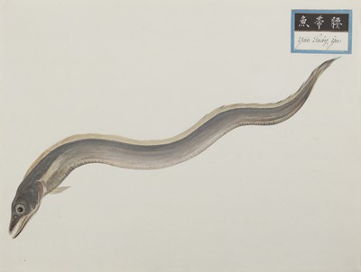 Lot 220 - A rare Chinese album containing fifty watercolour paintings, Qing dynasty, early 19th century