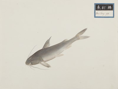 Lot 220 - A rare Chinese album containing fifty watercolour paintings, Qing dynasty, early 19th century