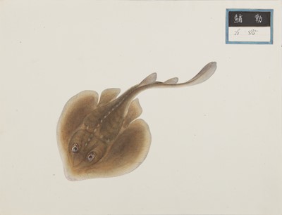 Lot 220 - A rare Chinese album containing fifty watercolour paintings, Qing dynasty, early 19th century