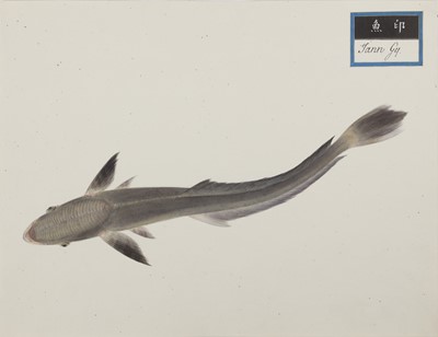 Lot 220 - A rare Chinese album containing fifty watercolour paintings, Qing dynasty, early 19th century