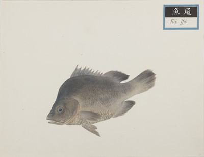 Lot 220 - A rare Chinese album containing fifty watercolour paintings, Qing dynasty, early 19th century