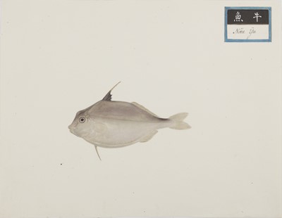 Lot 220 - A rare Chinese album containing fifty watercolour paintings, Qing dynasty, early 19th century