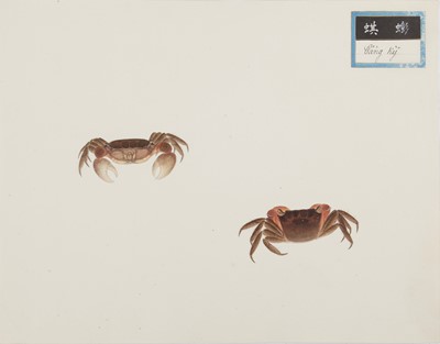 Lot 220 - A rare Chinese album containing fifty watercolour paintings, Qing dynasty, early 19th century