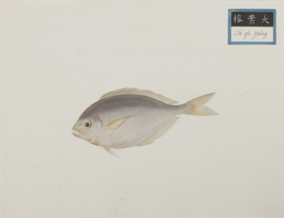 Lot 220 - A rare Chinese album containing fifty watercolour paintings, Qing dynasty, early 19th century