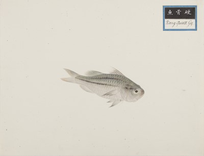 Lot 220 - A rare Chinese album containing fifty watercolour paintings, Qing dynasty, early 19th century