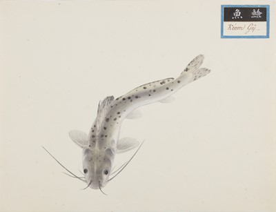 Lot 220 - A rare Chinese album containing fifty watercolour paintings, Qing dynasty, early 19th century