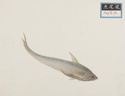 Lot 220 - A rare Chinese album containing fifty watercolour paintings, Qing dynasty, early 19th century
