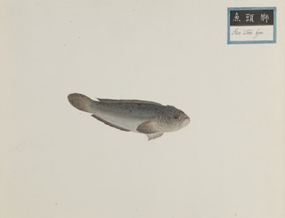 Lot 220 - A rare Chinese album containing fifty watercolour paintings, Qing dynasty, early 19th century