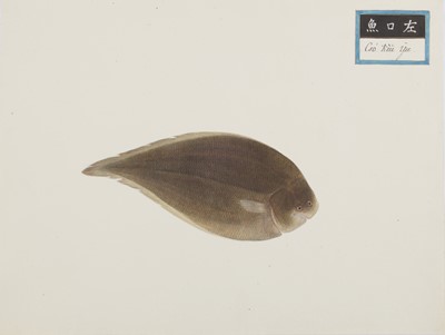 Lot 220 - A rare Chinese album containing fifty watercolour paintings, Qing dynasty, early 19th century