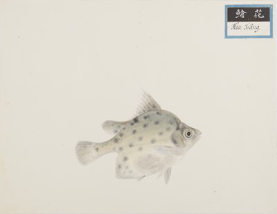 Lot 220 - A rare Chinese album containing fifty watercolour paintings, Qing dynasty, early 19th century