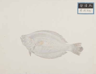 Lot 220 - A rare Chinese album containing fifty watercolour paintings, Qing dynasty, early 19th century