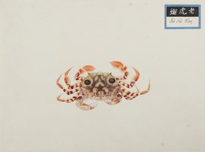Lot 220 - A rare Chinese album containing fifty watercolour paintings, Qing dynasty, early 19th century