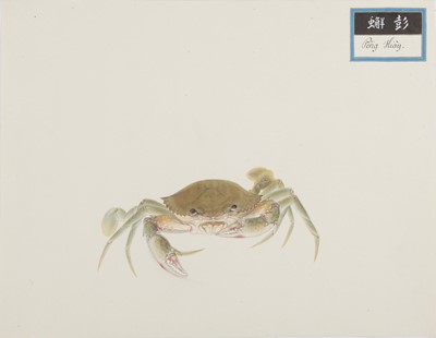 Lot 220 - A rare Chinese album containing fifty watercolour paintings, Qing dynasty, early 19th century