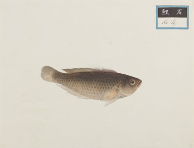 Lot 220 - A rare Chinese album containing fifty watercolour paintings, Qing dynasty, early 19th century