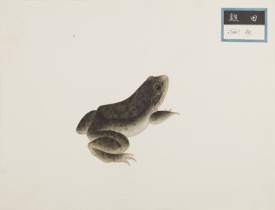 Lot 220 - A rare Chinese album containing fifty watercolour paintings, Qing dynasty, early 19th century