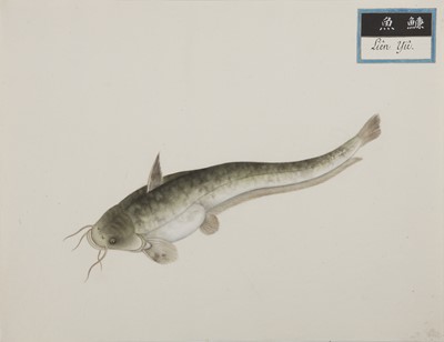 Lot 220 - A rare Chinese album containing fifty watercolour paintings, Qing dynasty, early 19th century