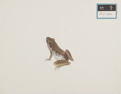 Lot 220 - A rare Chinese album containing fifty watercolour paintings, Qing dynasty, early 19th century