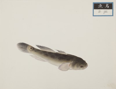 Lot 220 - A rare Chinese album containing fifty watercolour paintings, Qing dynasty, early 19th century