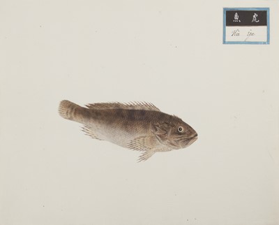 Lot 220 - A rare Chinese album containing fifty watercolour paintings, Qing dynasty, early 19th century