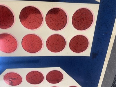 Lot 512 - Elvis Presley interest, produced by Flashbacks Inc Fountain Valley, California