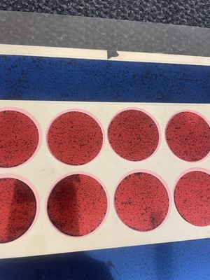 Lot 512 - Elvis Presley interest, produced by Flashbacks Inc Fountain Valley, California