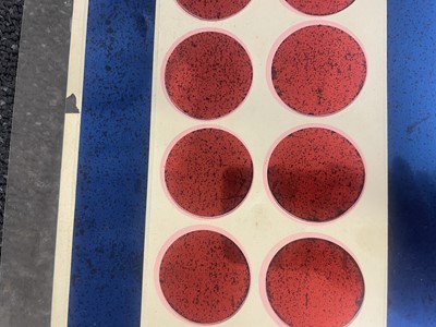 Lot 512 - Elvis Presley interest, produced by Flashbacks Inc Fountain Valley, California