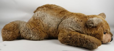 Lot 491 - Steiff oversized brown bear, tag to ear and...