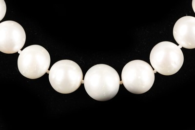 Lot 557 - A string of large graduated cultured pearls,...