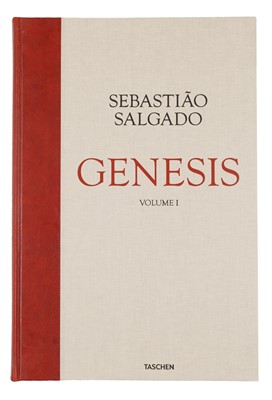 Lot 292 - Sebastião Salgado (1944-2025)
