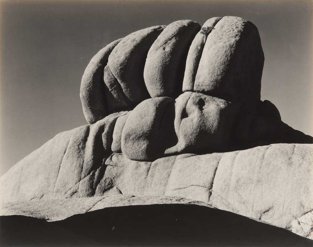Lot 107 - Edward Weston (1886-1958)