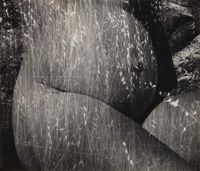 Lot 32 - Ruth Bernhard (1905-2006)