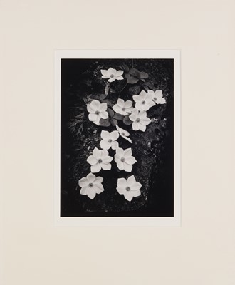 Lot 113 - Ansel Adams (1902-1984)