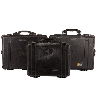 Lot 231 - Peli