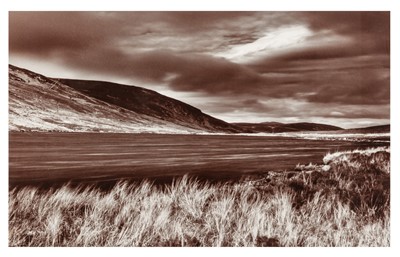 Lot 96 - Brenda MacNeill (XX)