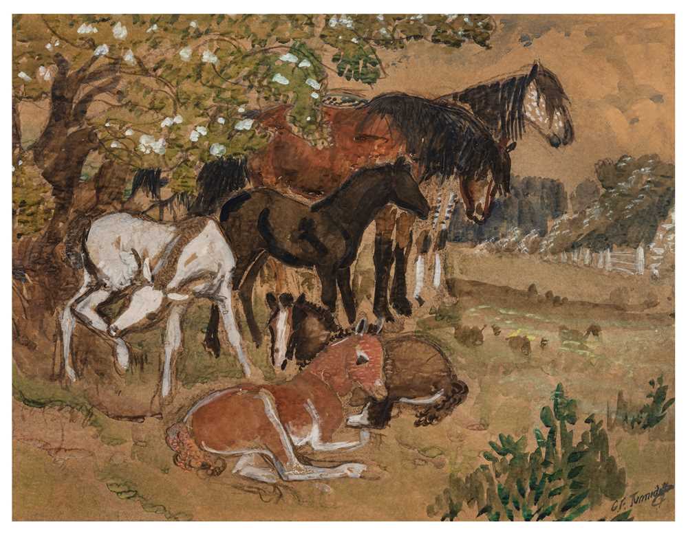 Lot 108 - Charles Frederick Tunnicliffe (British, 1901-1979)