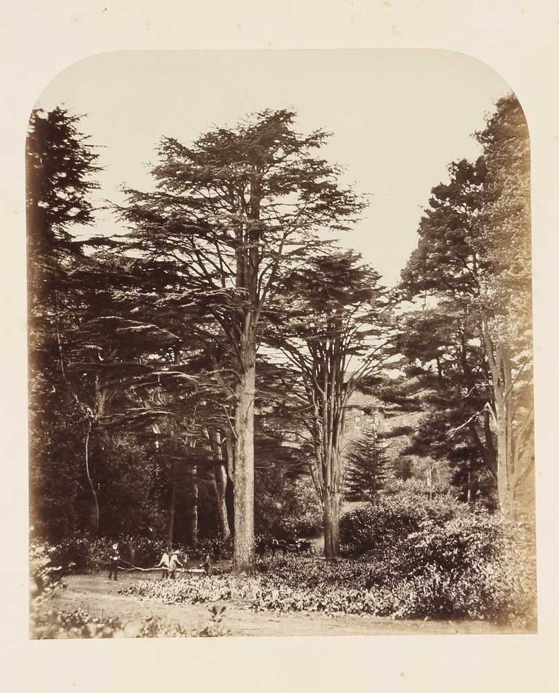 Lot 22 - Willian Menzies, James Sinclair (1821-1881), and William Bambridge (1819-1879)