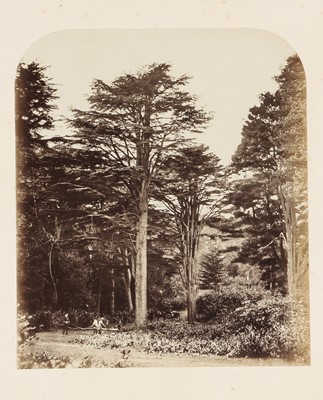 Lot 22 - Willian Menzies, James Sinclair (1821-1881), and William Bambridge (1819-1879)