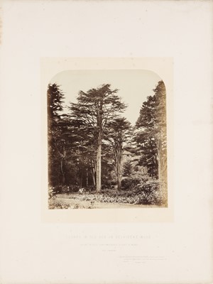 Lot 22 - Willian Menzies, James Sinclair (1821-1881), and William Bambridge (1819-1879)